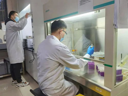 以技術(shù)創(chuàng)新踐行社會(huì)責(zé)任——相城生物醫(yī)藥企業(yè)戰(zhàn)疫顯擔(dān)當(dāng)
